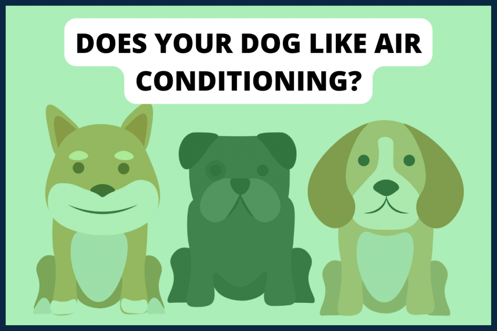 Do Dogs Like Air Conditioning