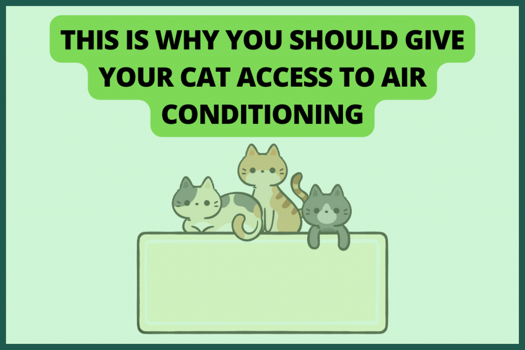 do cats need air conditioning