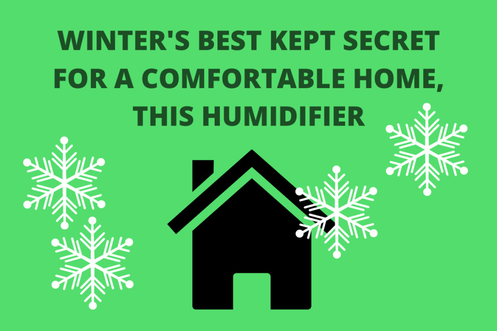 Humidifier For Dry Air In Winter